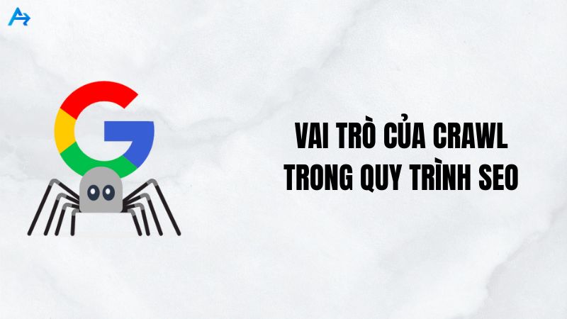 Vai trò của Crawl trong quy trình SEO