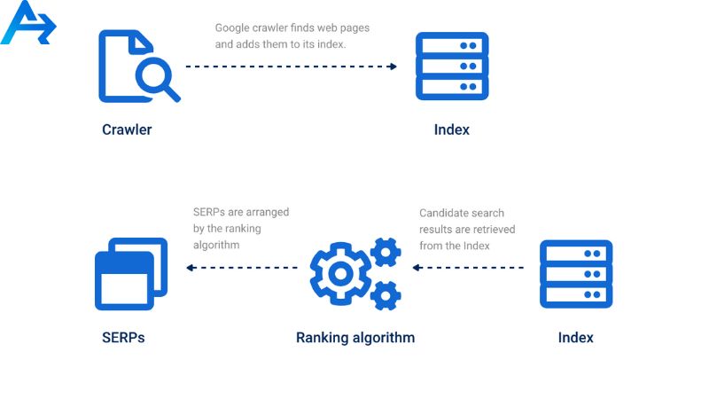 Phân biệt Crawl và Index trong SEO