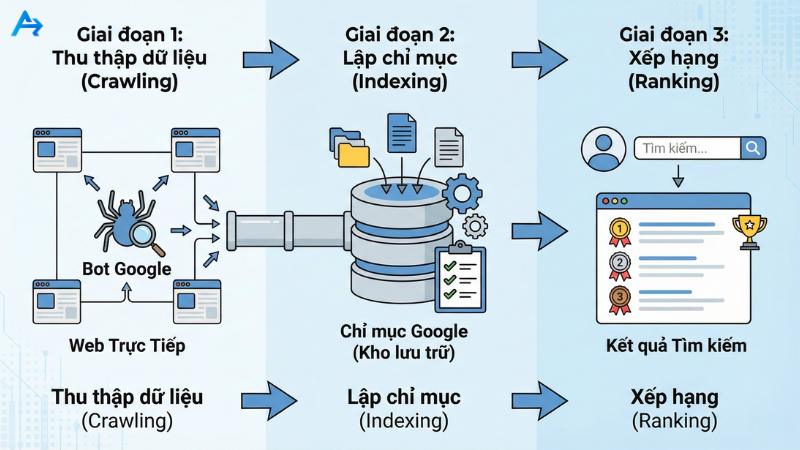 Giai đoạn 1: Thu thập dữ liệu (Crawling) – Những "Con nhện" thám hiểm