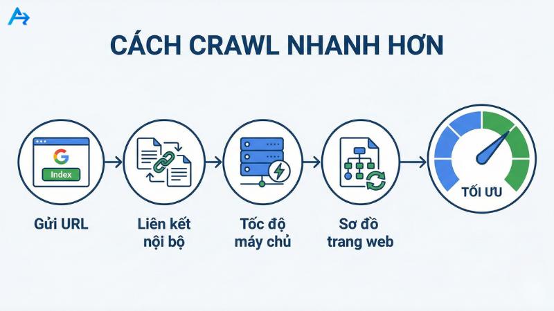 Làm thế nào để Google Crawl nhanh hơn?