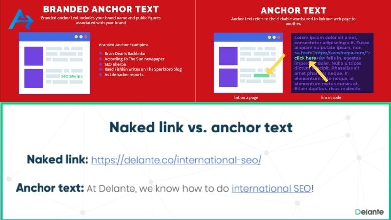 Các loại anchor text phổ biến gồm branded anchor, generic anchor và naked URL 