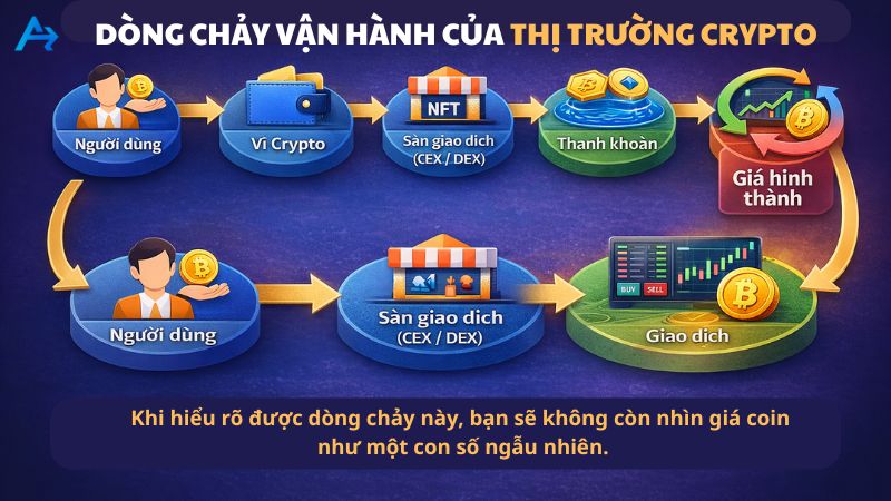 Dòng chảy vận hành của thị trường Crypto
